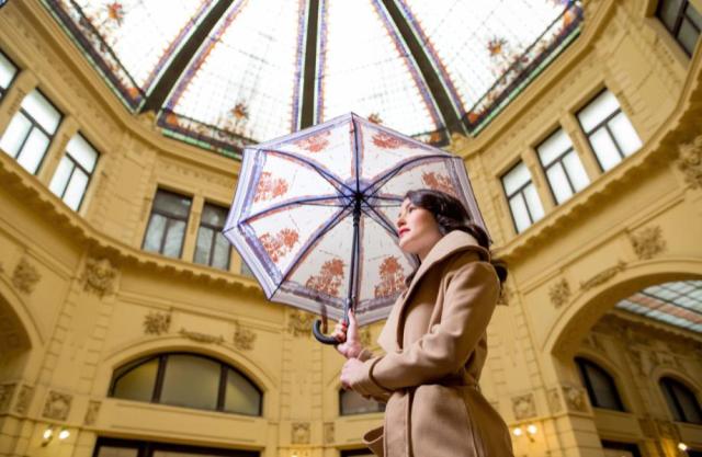 Umbrella 